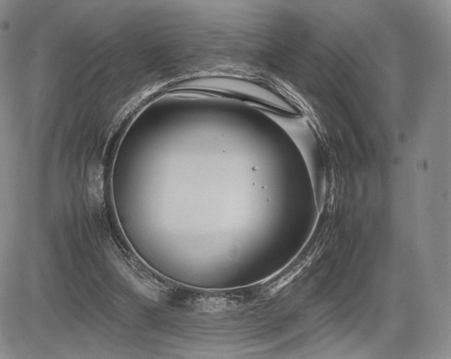 X0000085070298200703051414