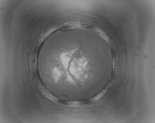 X0000085070301200703051414