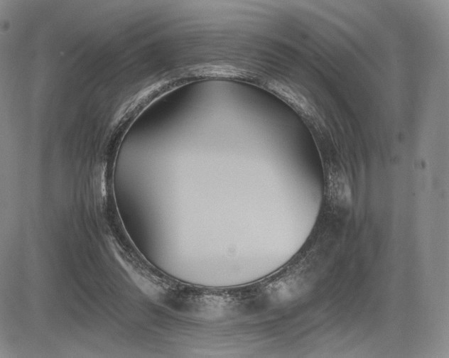 X0000085070302200703051414