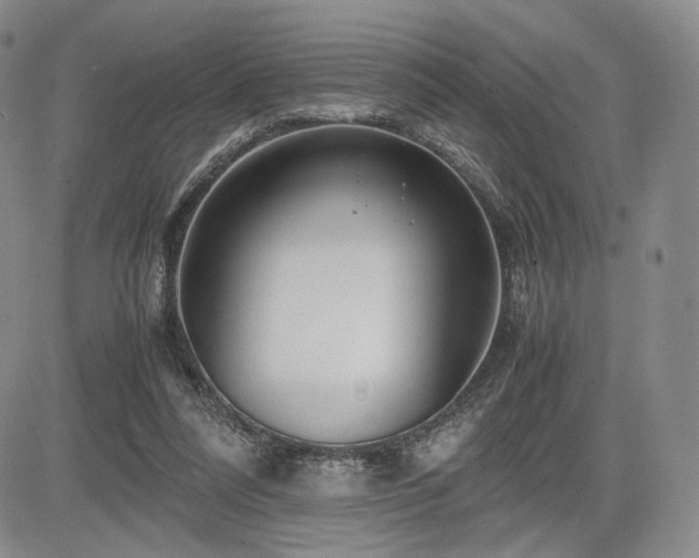 X0000085070304200703051414