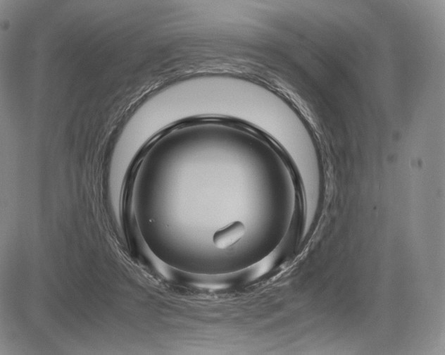 X0000085070305200703051414