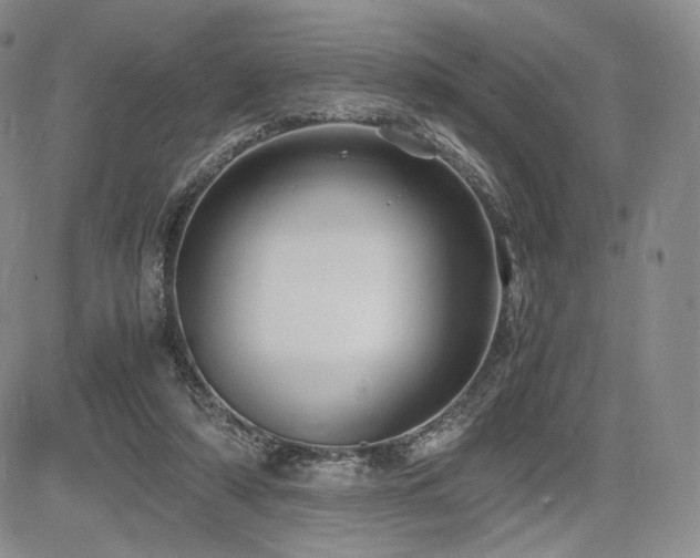 X0000085070306200703051414