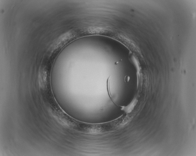 X0000085070308200703051414