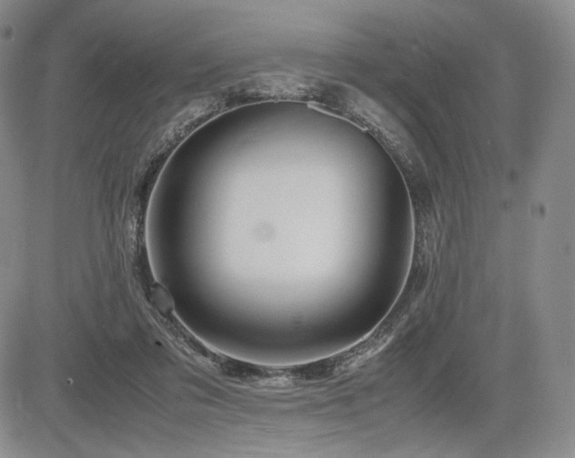 X0000085070309200703051414