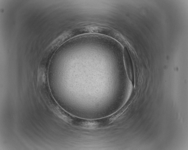 X0000085070313200703051414