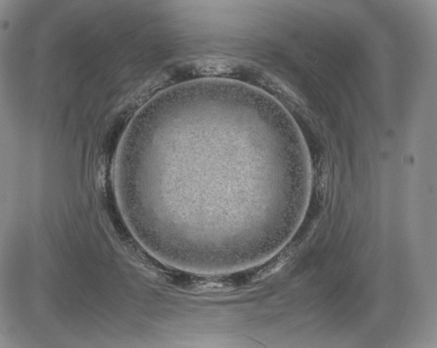 X0000085070315200703051414