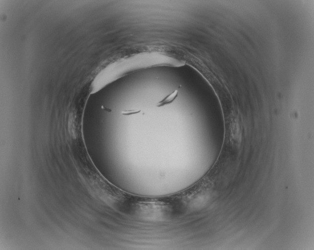 X0000085070316200703051414