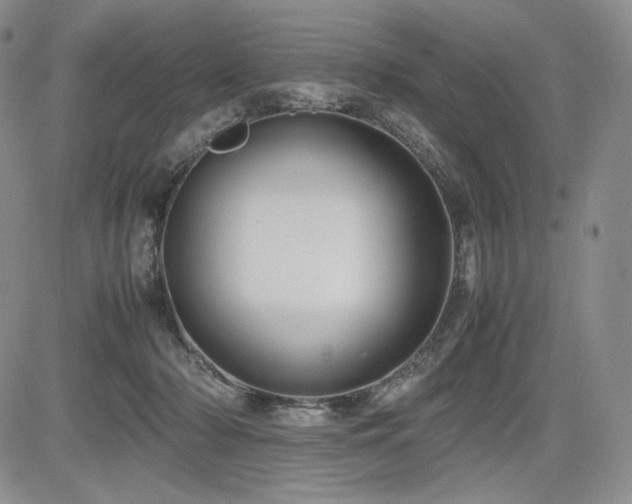 X0000085070318200703051414