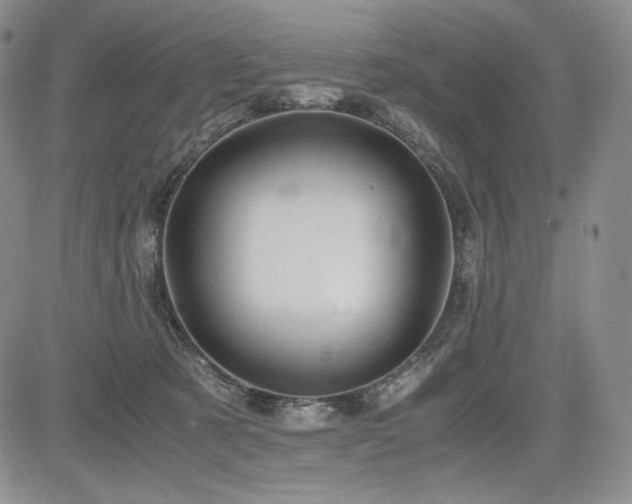 X0000085070321200703051414