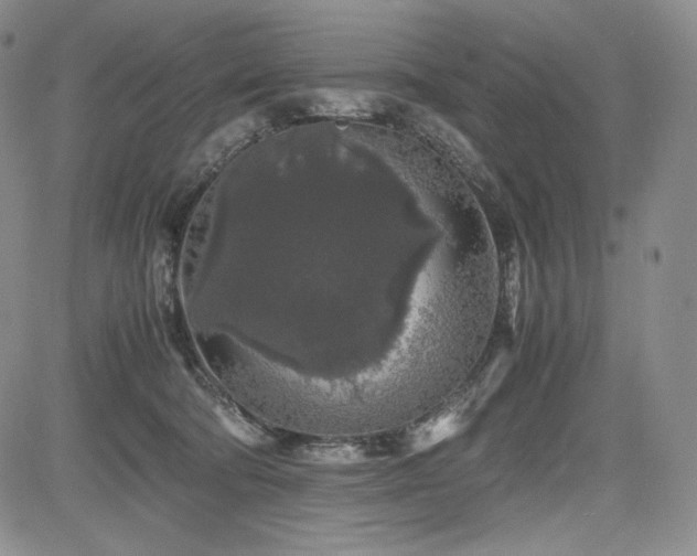 X0000085070322200703051414