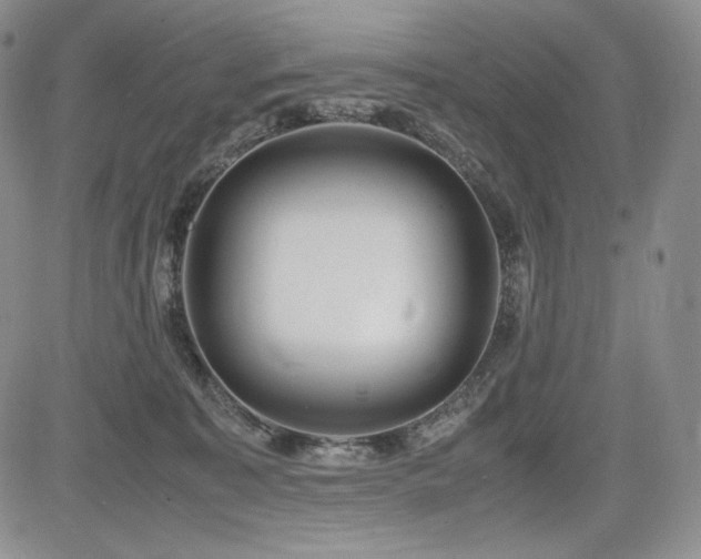 X0000085070323200703051414