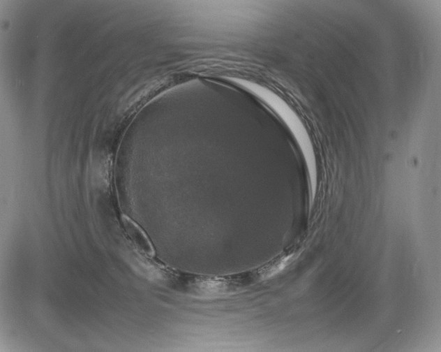 X0000085070325200703051414