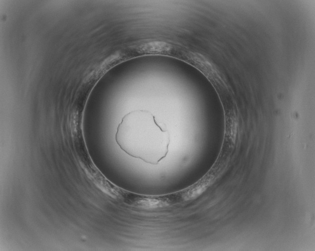 X0000085070326200703051414