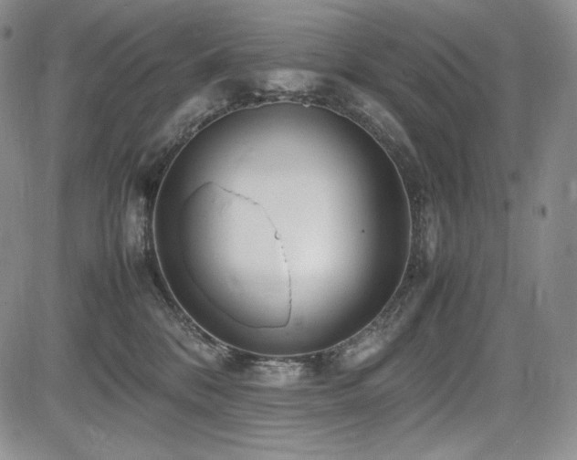 X0000085070328200703051414