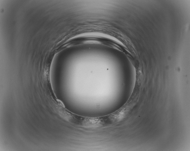 X0000085070329200703051414