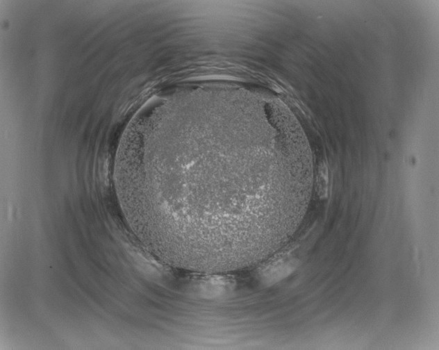 X0000085070330200703051414