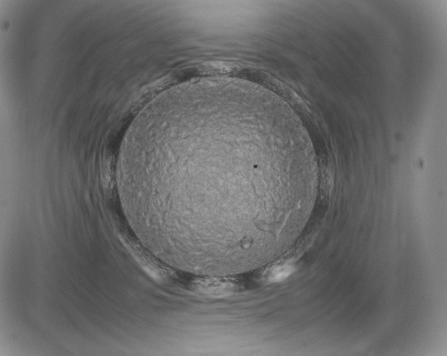 X0000085070331200703051414