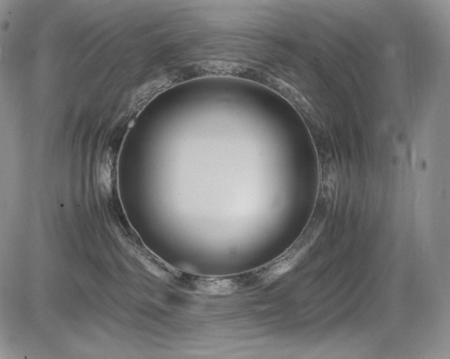 X0000085070334200703051414