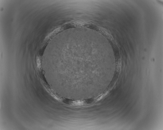 X0000085070335200703051414