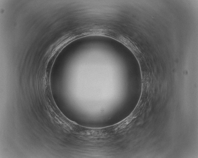 X0000085070338200703051413