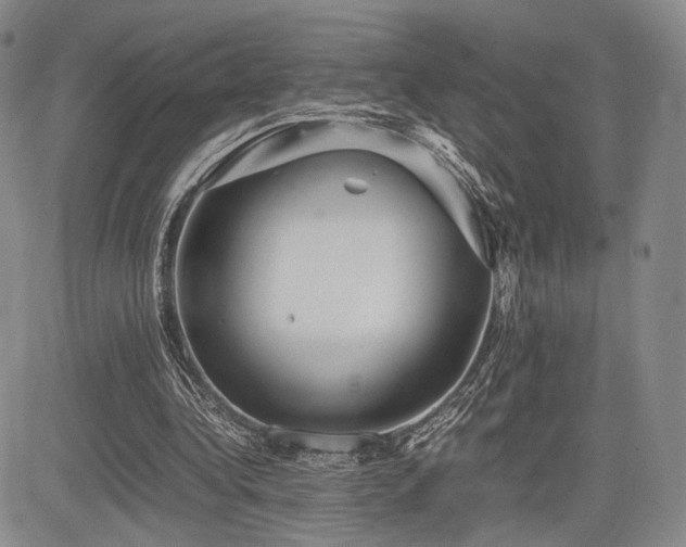 X0000085070340200703051413