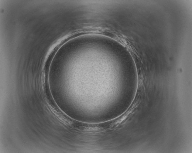 X0000085070342200703051413
