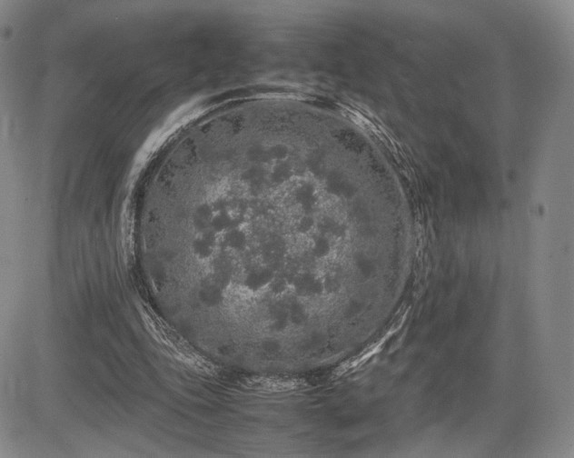 X0000085070343200703051413