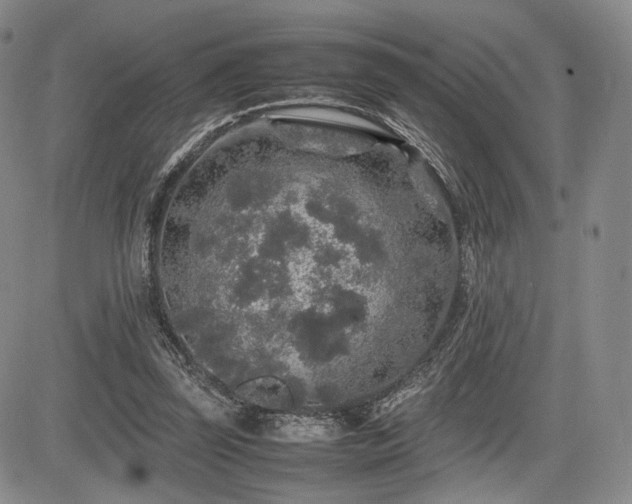 X0000085070347200703051413