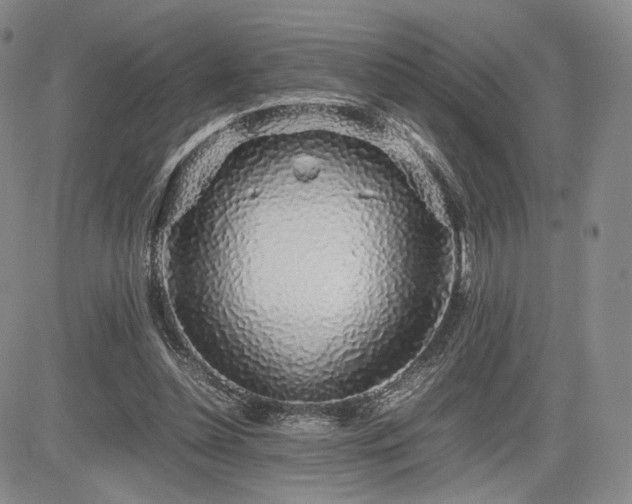 X0000085070348200703051413