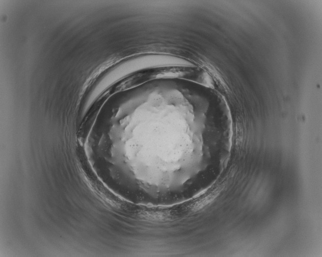 X0000085070349200703051413