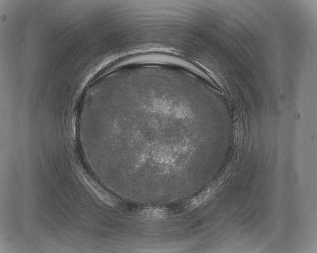 X0000085070350200703051413