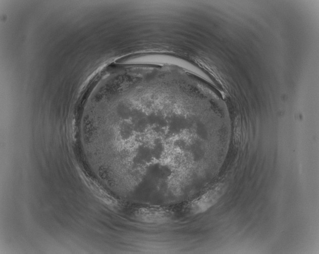 X0000085070351200703051413