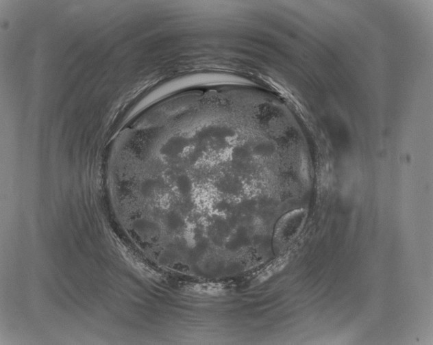 X0000085070353200703051413