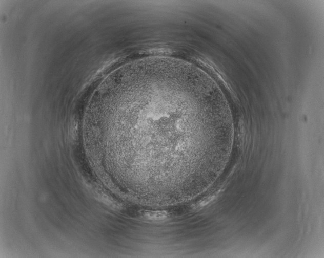 X0000085070355200703051413