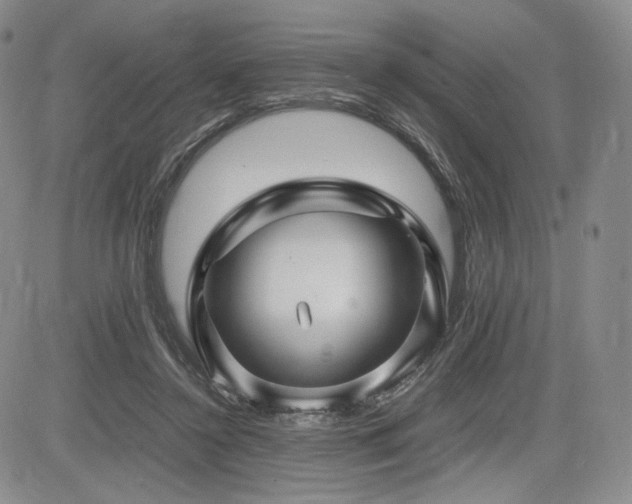 X0000085070356200703051413