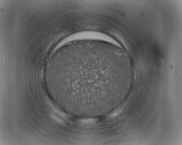 X0000085070357200703051413