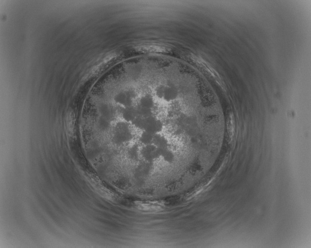 X0000085070359200703051413