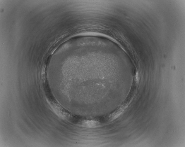 X0000085070360200703051413