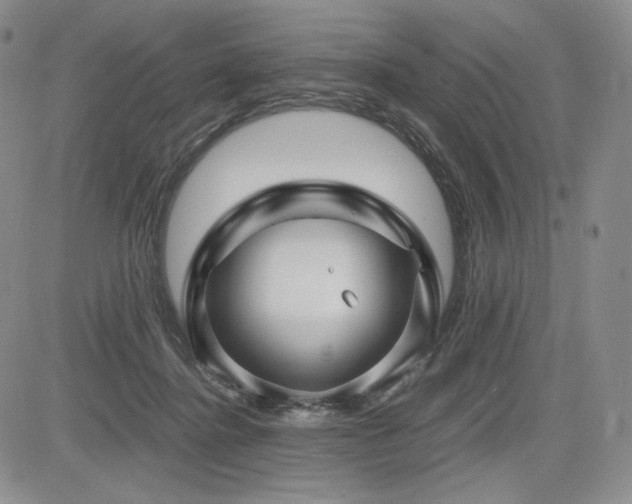 X0000085070364200703051413