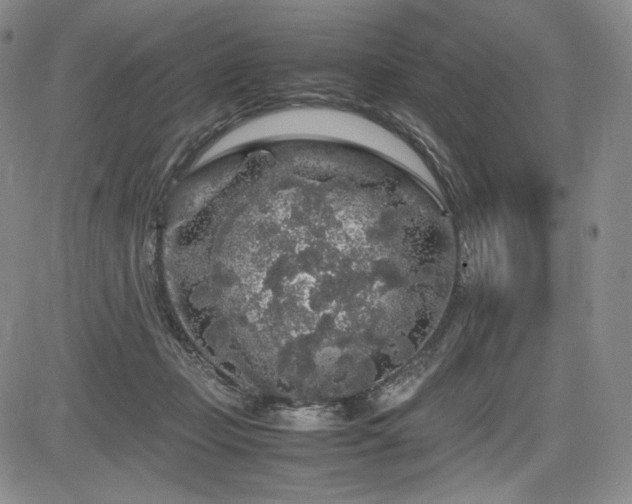 X0000085070365200703051413