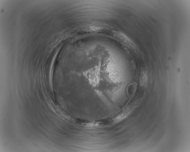 X0000085070366200703051413