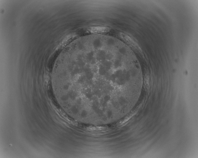 X0000085070367200703051413