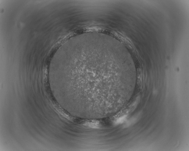 X0000085070369200703051413