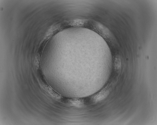 X0000085070370200703051413