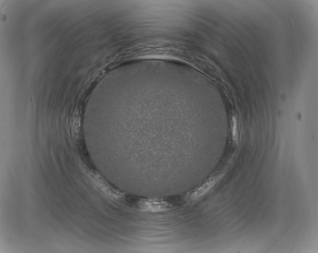 X0000085070372200703051414