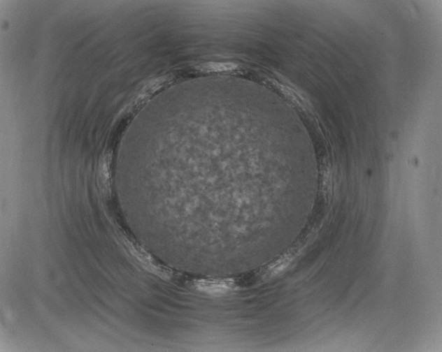 X0000085070373200703051414