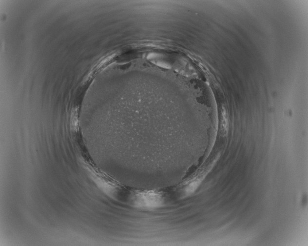 X0000085070383200703051414