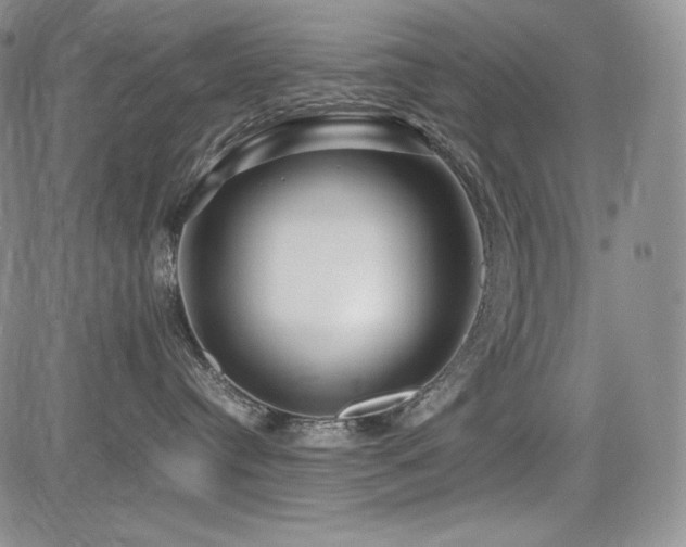 X0000085070384200703051414