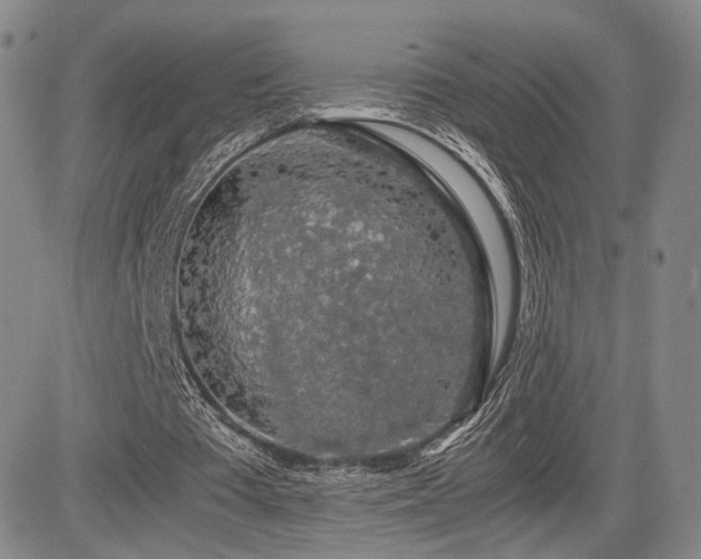 X0000085070385200703051413