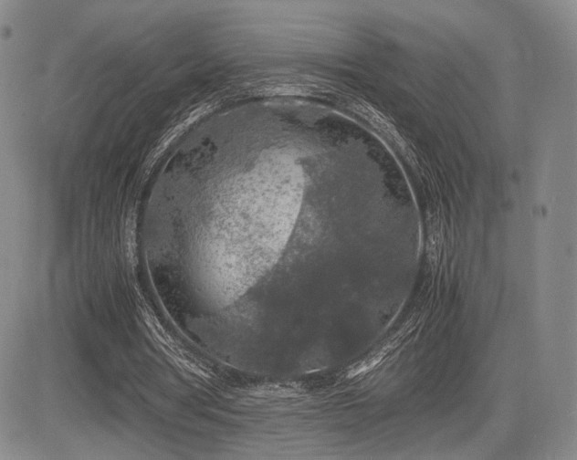 X0000085070386200703051413